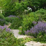 Cinco azules que querrás tener en tu jardín