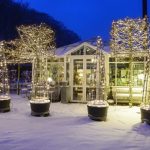 Decoración de tu casa en Navidad con flores y plantas
